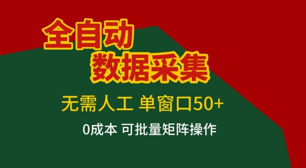 全自动数据采集项目,无需人工,单窗口可达50+收益,操作简单无难度,一个人也能轻松实现矩阵【揭秘】