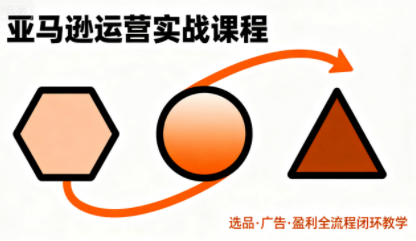 毕方电商·亚马逊全站会员课程(更新3月)-得优社