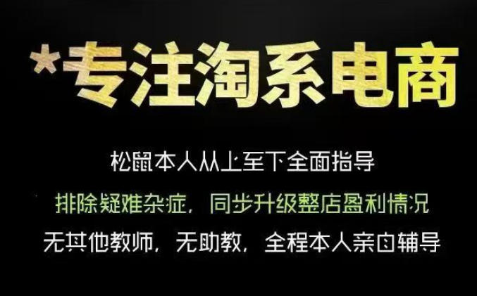 松鼠会电商VIP课程，从基础布局到高阶优化，助你掌握淘宝运营逻辑，提升店铺流量与转化(更新0711)-得优社