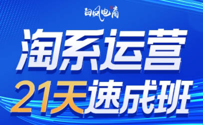白凤电商·淘系运营21天速成班(更新7月)-得优社