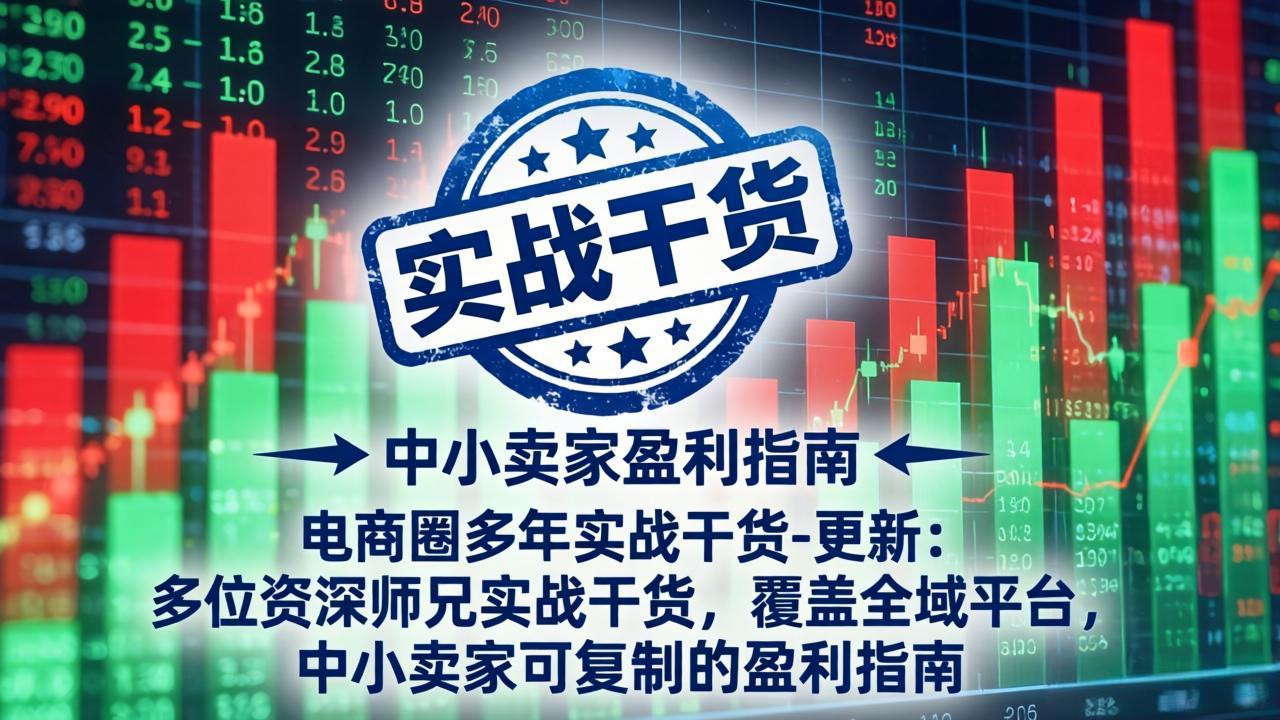 电商圈多年实战干货-更新2026：多位资深师兄实战干货/覆盖全域平台，中小卖家可复制的盈利指南-得优社