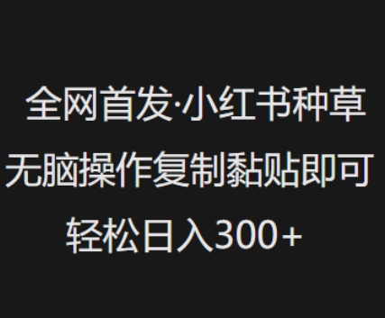 全网首发，小红书种草无脑操作，复制黏贴即可，轻松日入3张-得优社