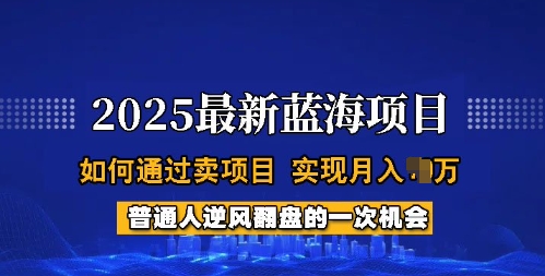 2025蓝海项目，普通人如何通过卖项目，实现月入过W，全过程【揭秘】-得优社